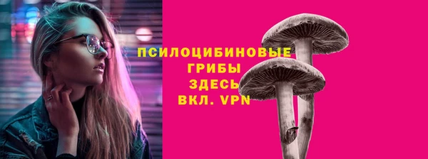 спайс Липки